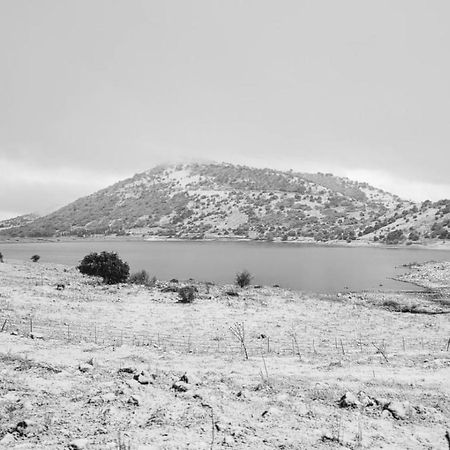 Luxury Caravan Truck In The Golan HeightsBruchim Qela' Alon エクステリア 写真