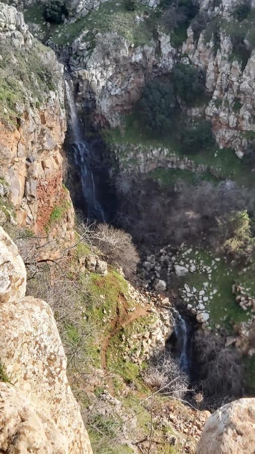 Luxury Caravan Truck In The Golan HeightsBruchim Qela' Alon エクステリア 写真